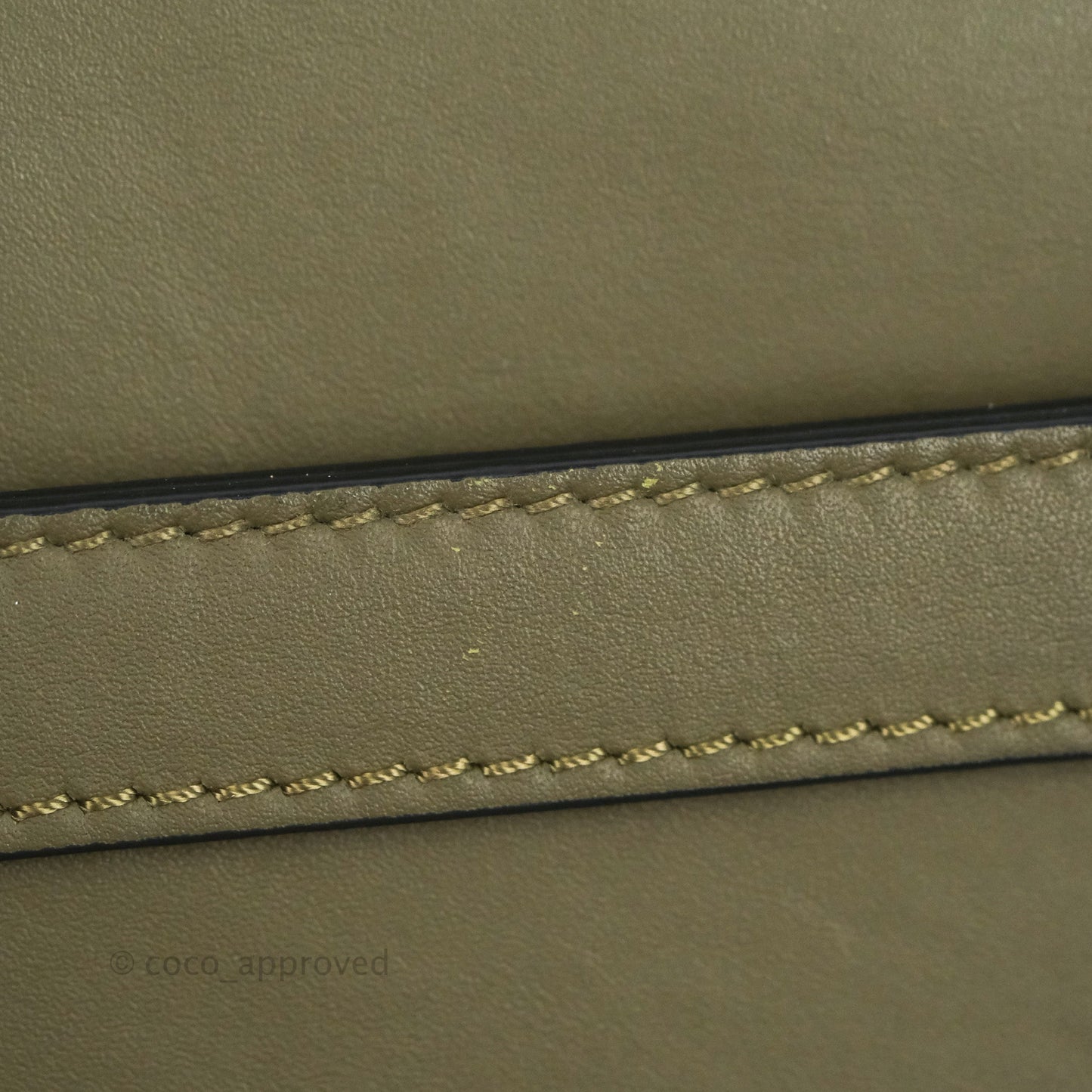 Loewe Small Gate Bag in Soft Calfskin & Jacquard Strap Autumn Green