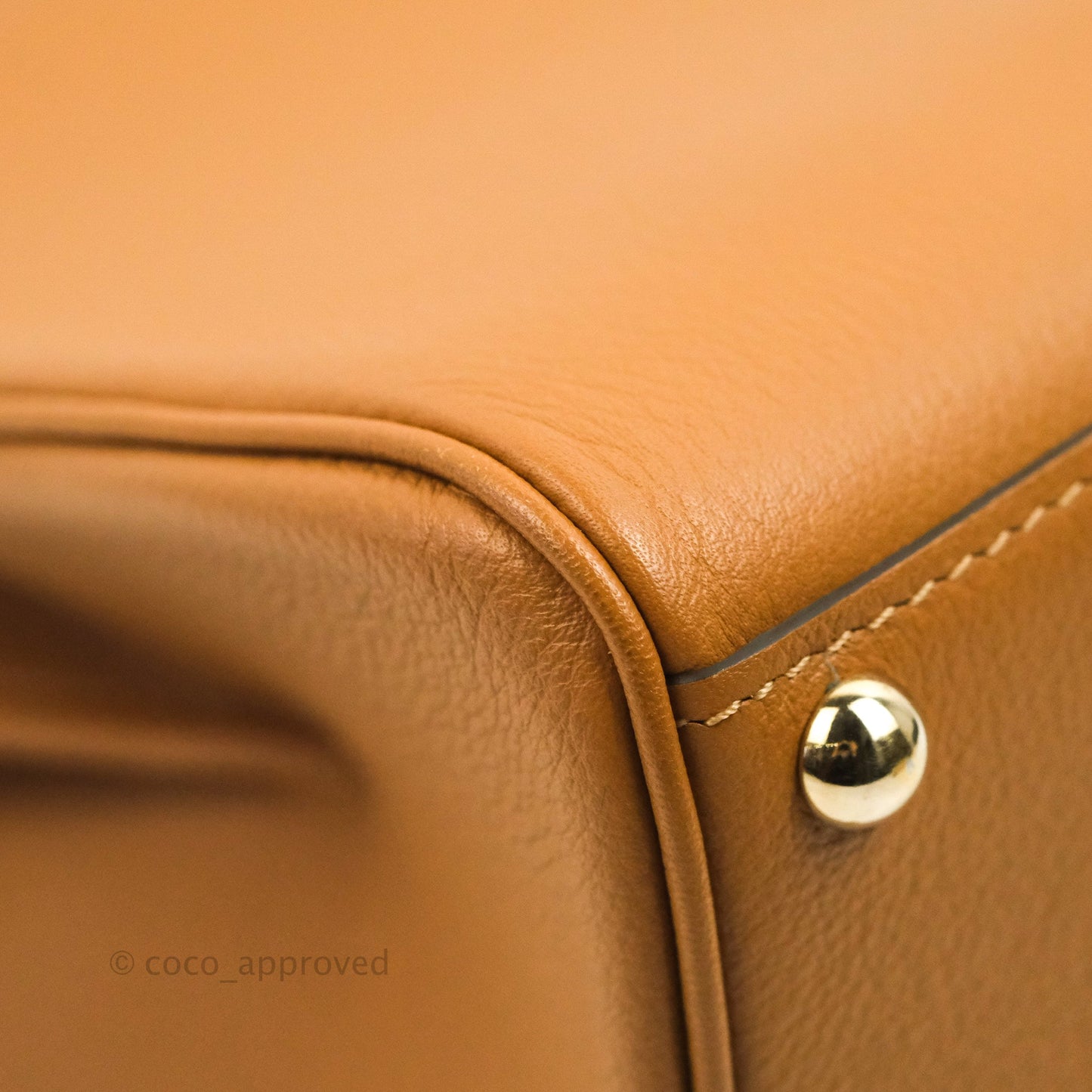 Delvaux Mini Brillant Bag Vegetal Rodeo Calf Gold Hardware