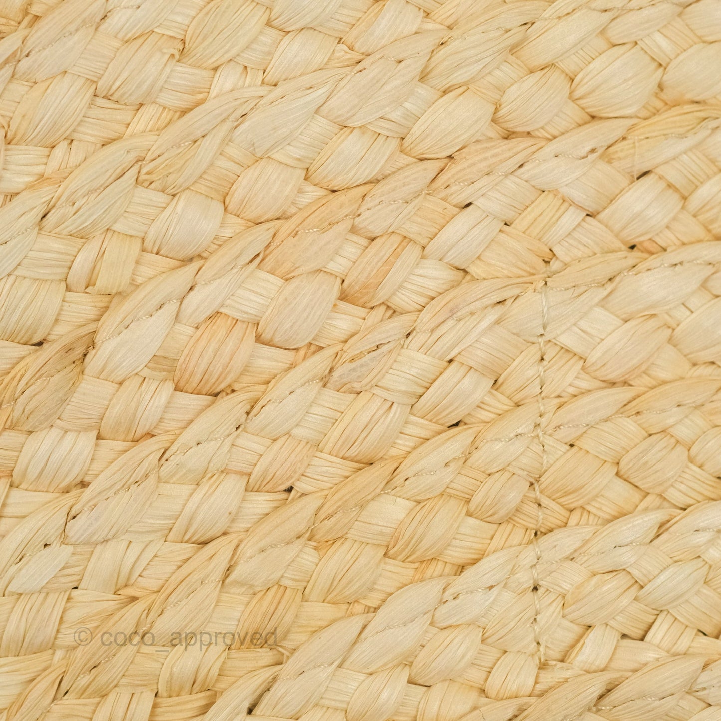 Celine Large Round Corn Leaves Calfskin Natural/Tan