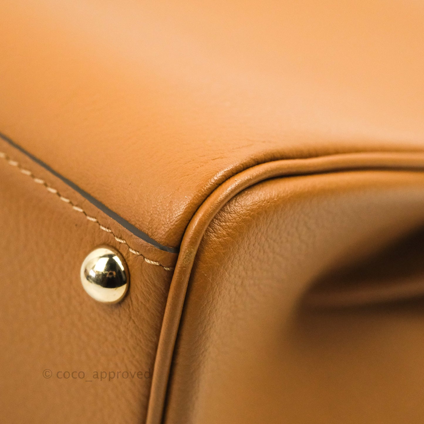 Delvaux Mini Brillant Bag Vegetal Rodeo Calf Gold Hardware