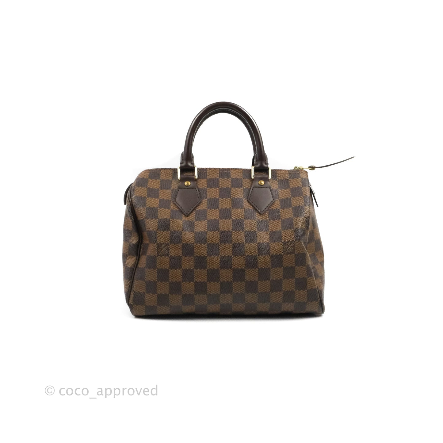 Louis Vuitton Speedy 25 Damier Canvas