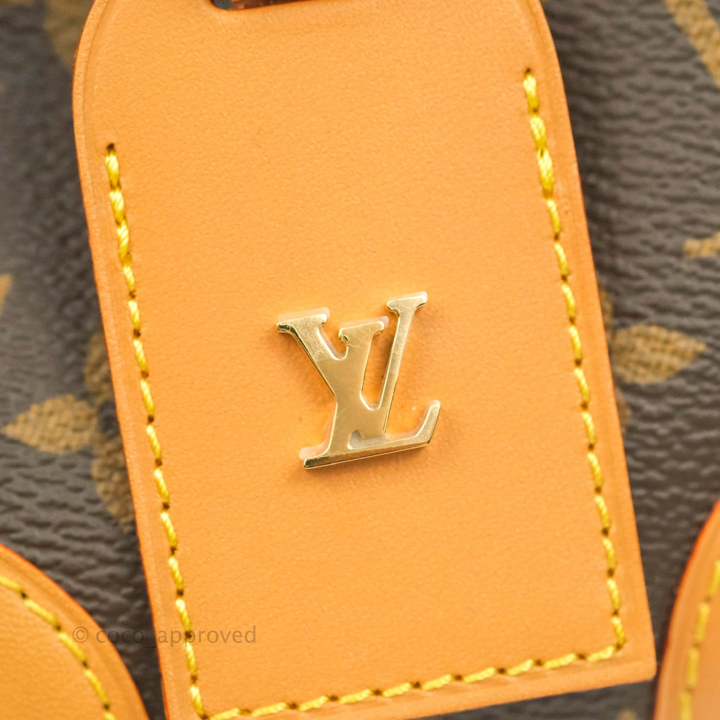 Louis Vuitton Monogram Noé Purse