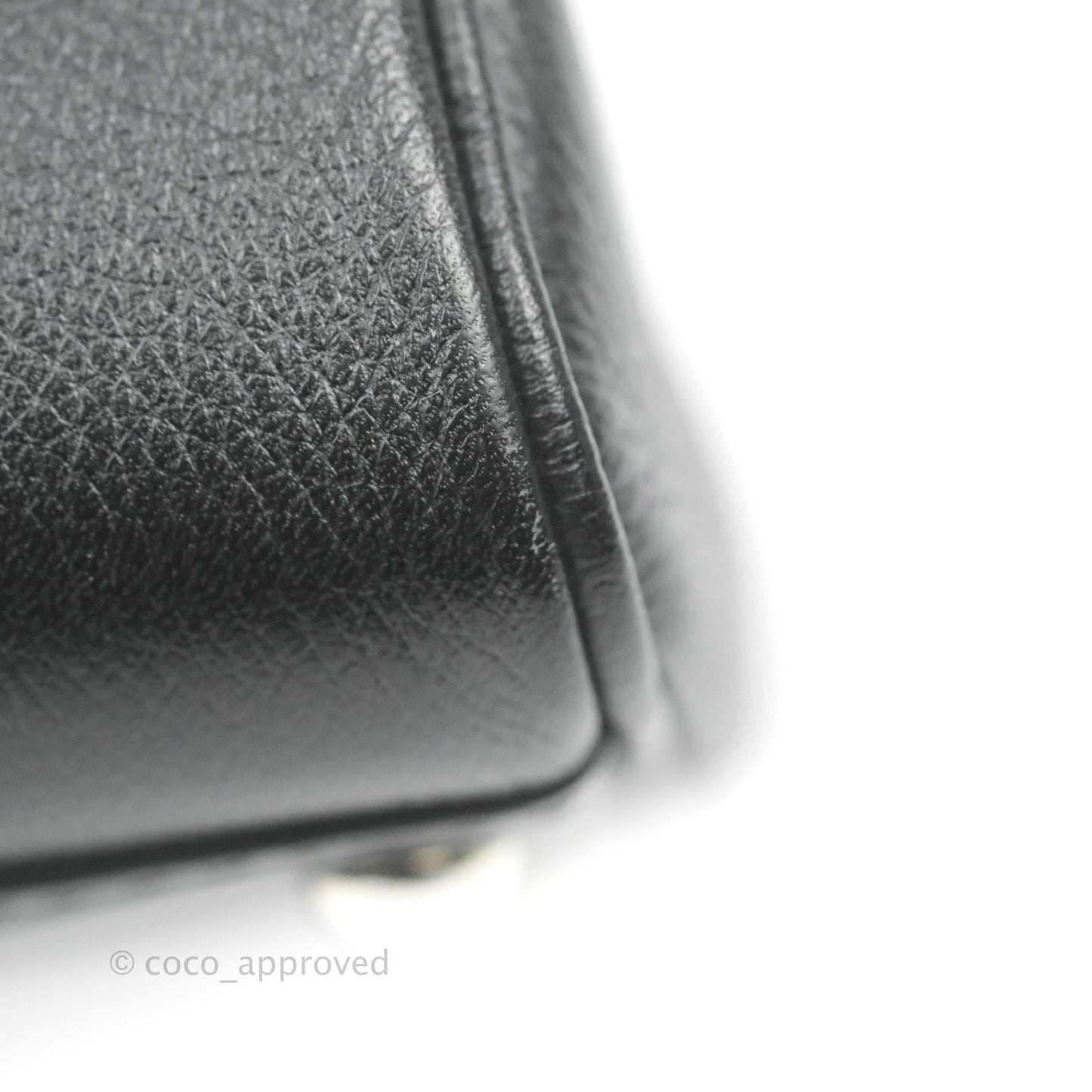 Delvaux Mini Brillant Bag Vegetal Rodeo Calf Silver Hardware