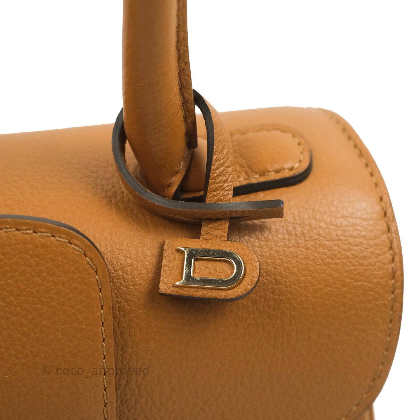Delvaux Mini Brillant Bag Vegetal Rodeo Calf Gold Hardware