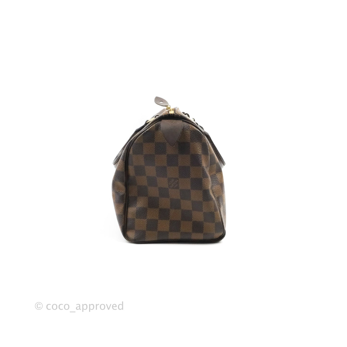 Louis Vuitton Speedy 25 Damier Canvas