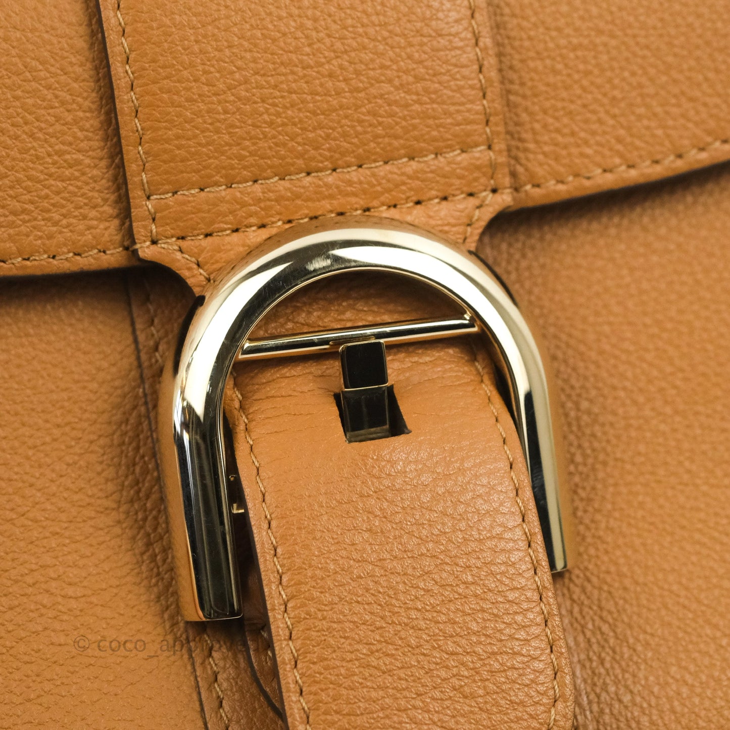 Delvaux Mini Brillant Bag Vegetal Rodeo Calf Gold Hardware