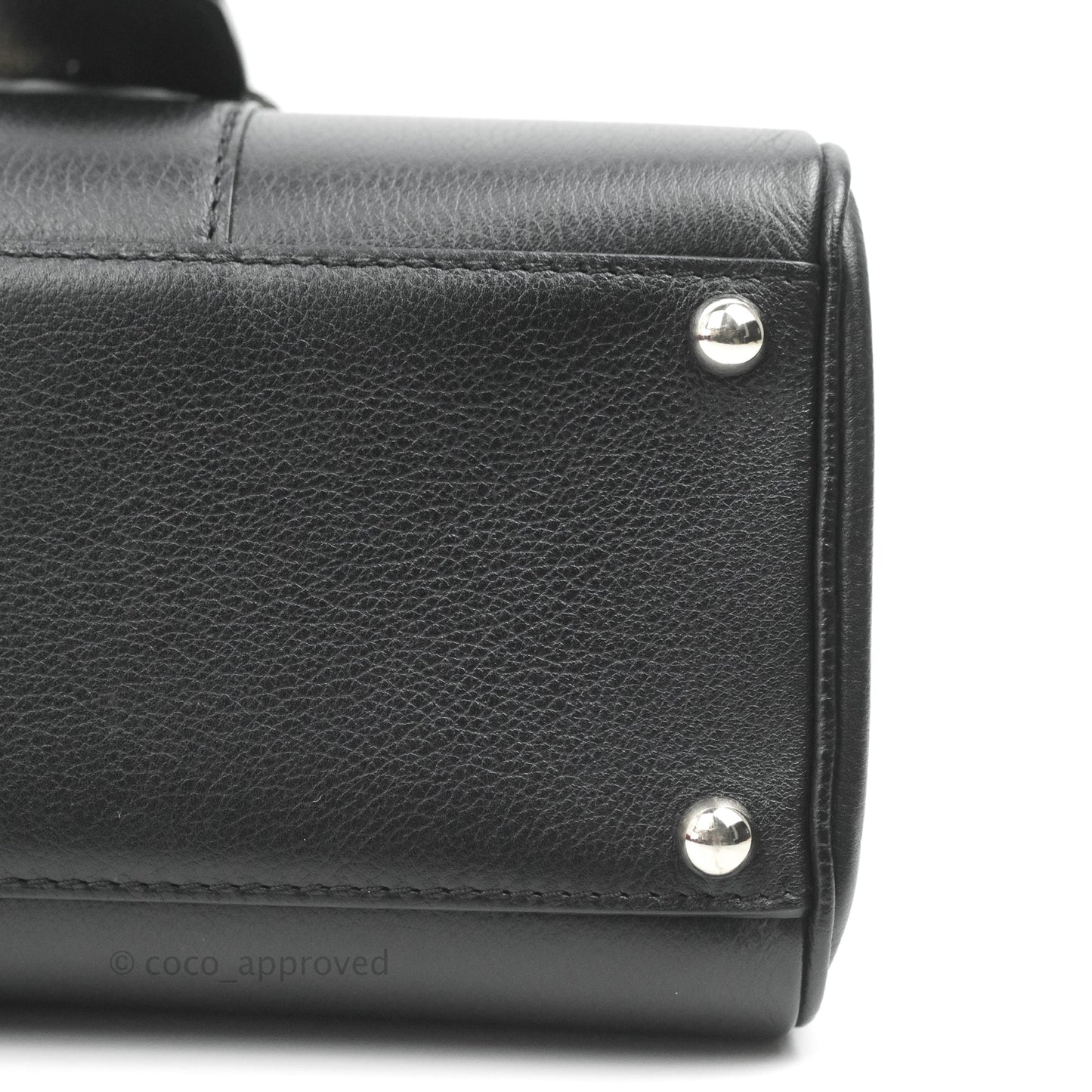 Delvaux Mini Brillant Bag Vegetal Rodeo Calf Silver Hardware