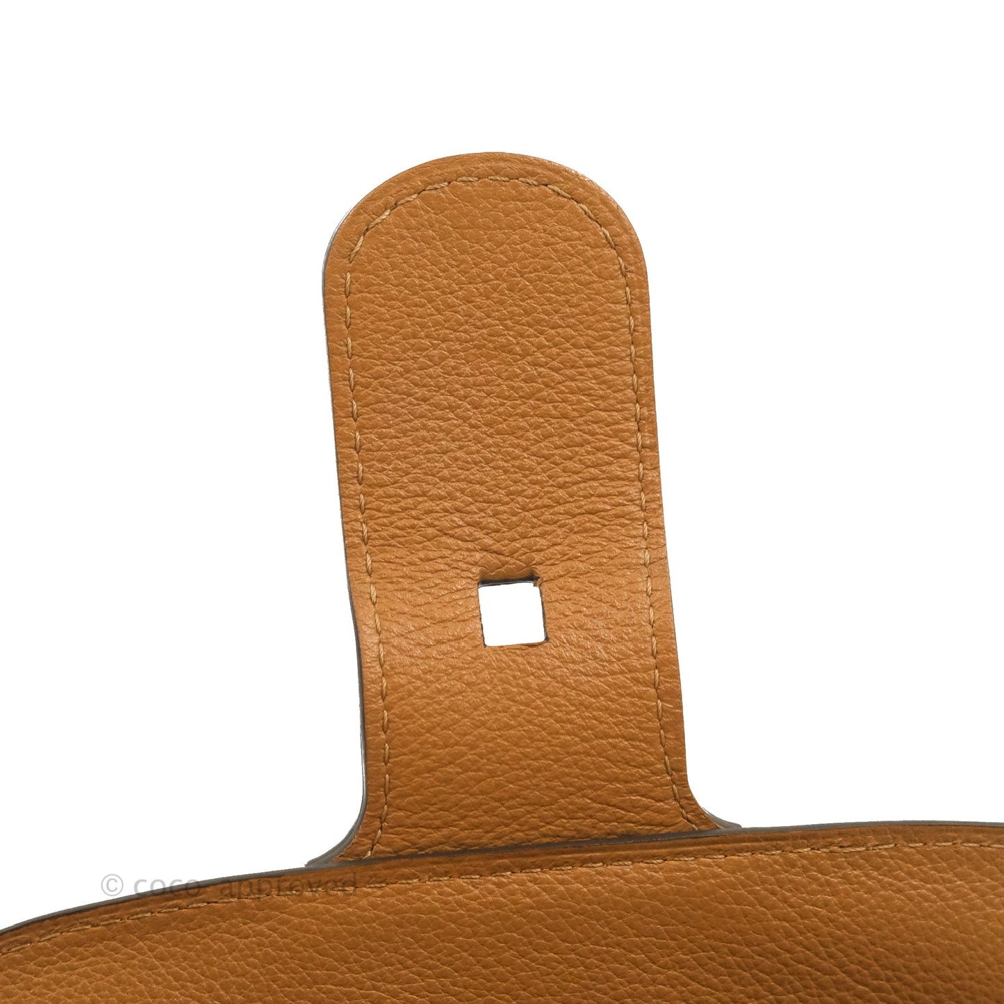 Delvaux Mini Brillant Bag Vegetal Rodeo Calf Gold Hardware