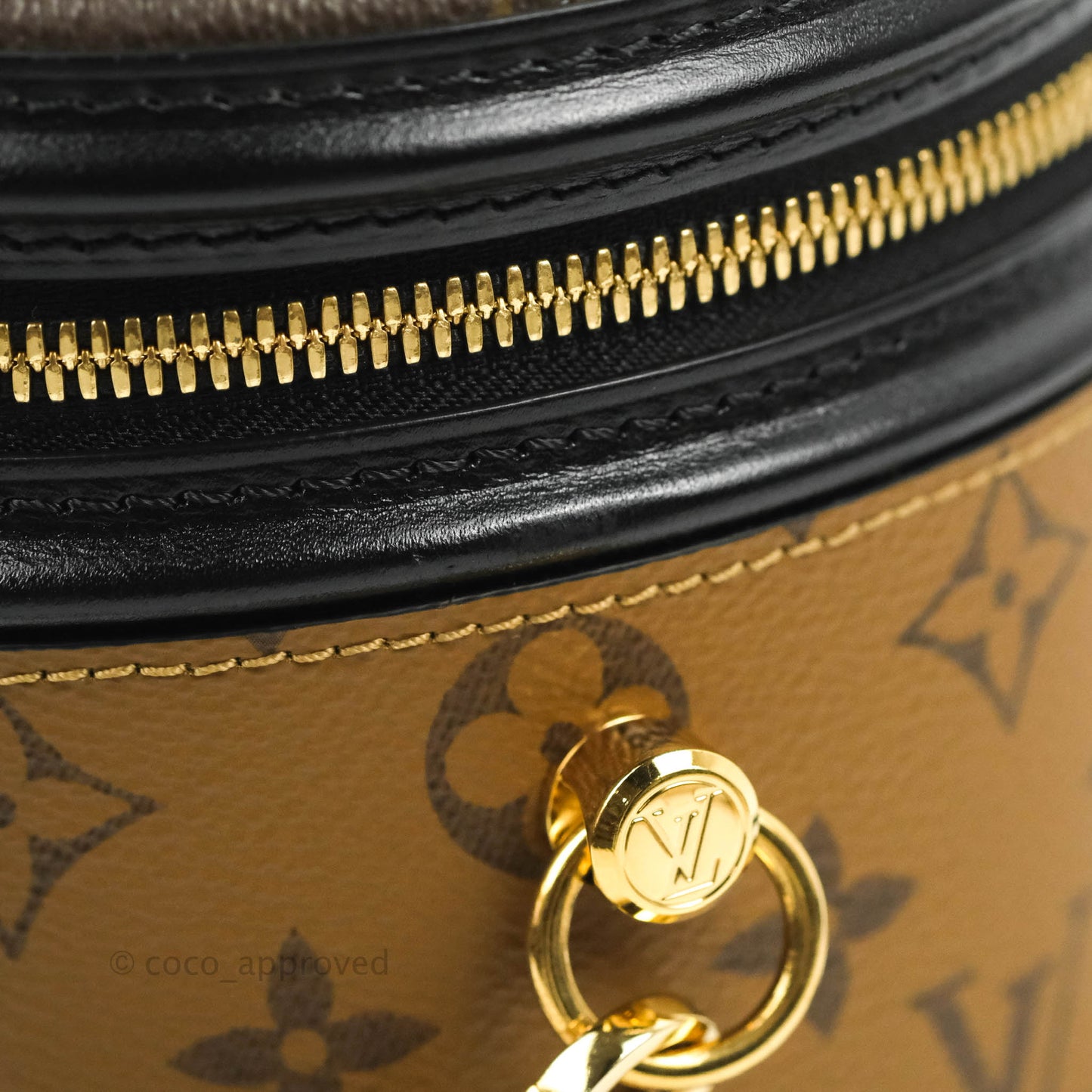 Louis Vuitton Monogram Canvas Reverse Cannes Bag