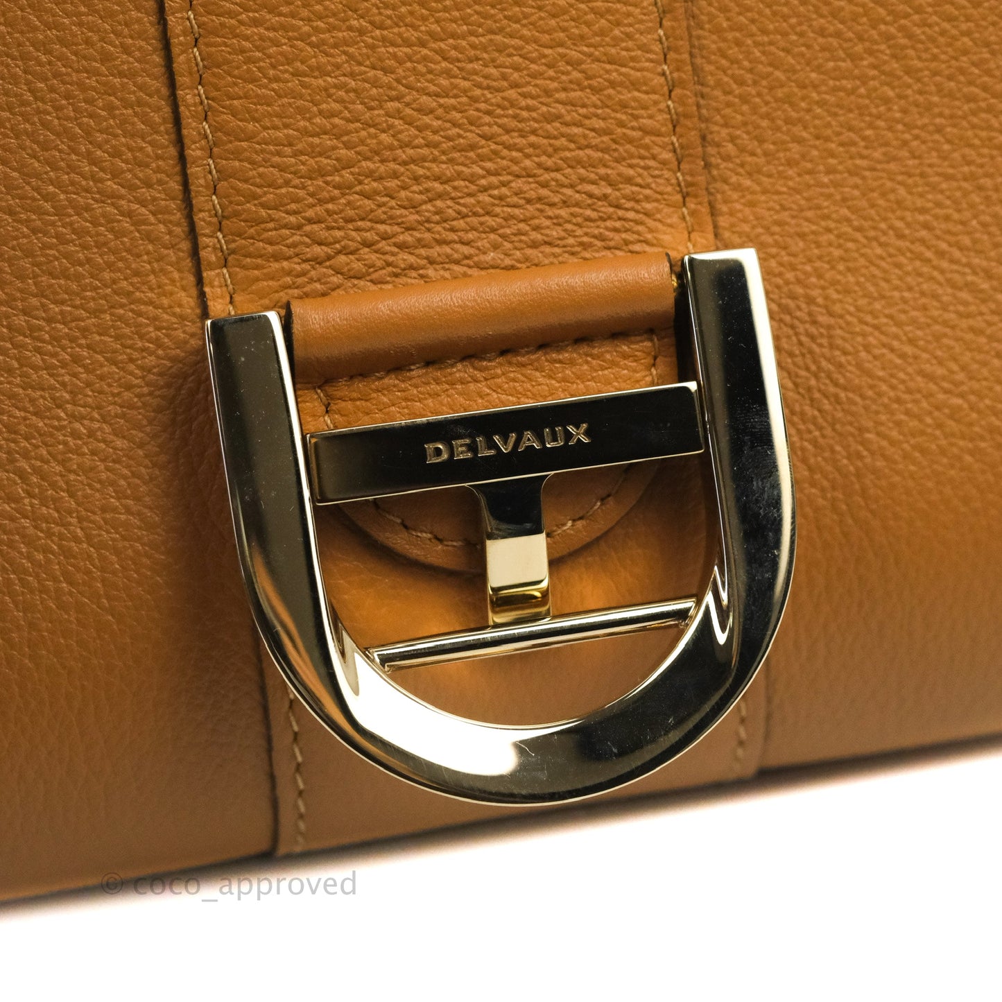 Delvaux Mini Brillant Bag Vegetal Rodeo Calf Gold Hardware