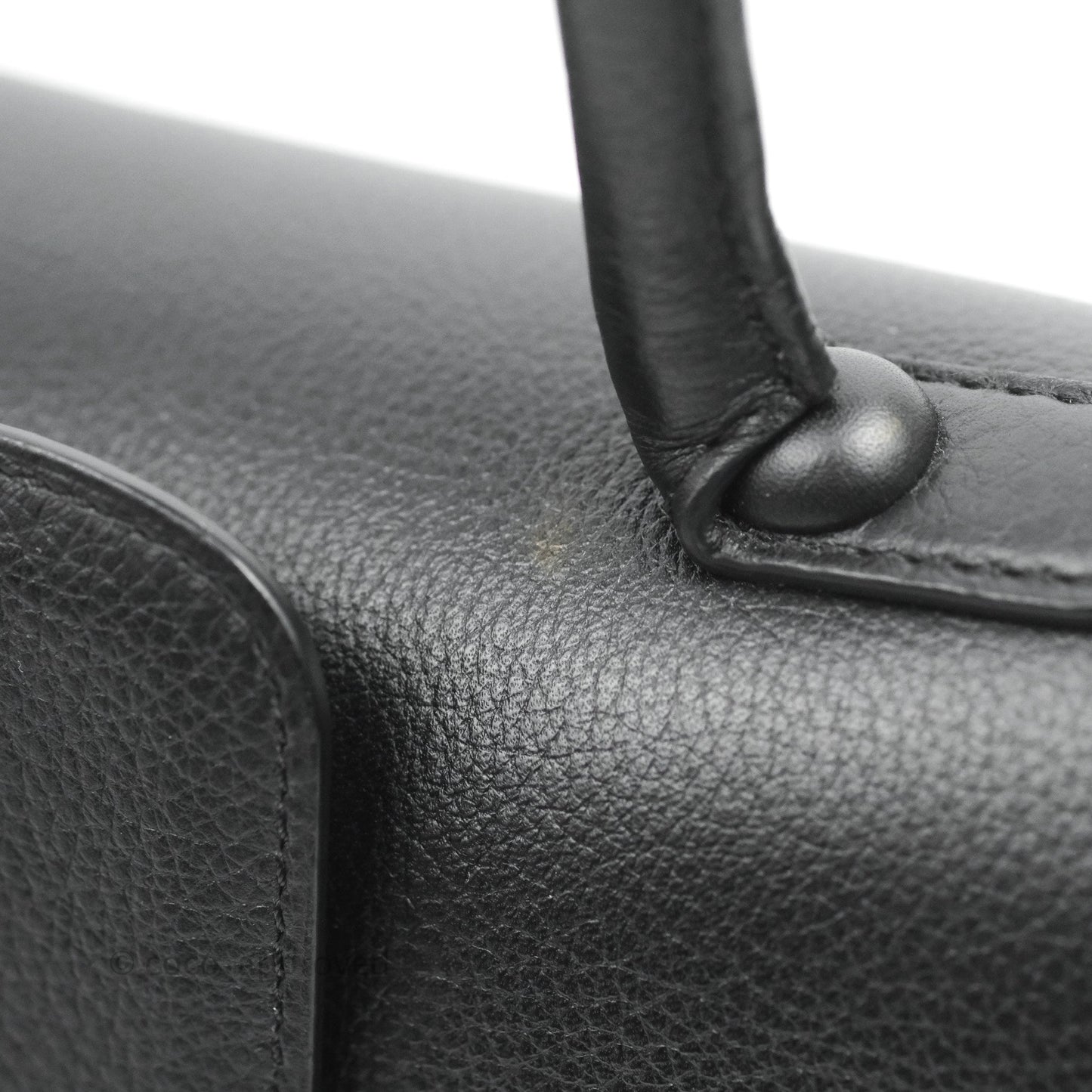 Delvaux Mini Brillant Bag Vegetal Rodeo Calf Silver Hardware