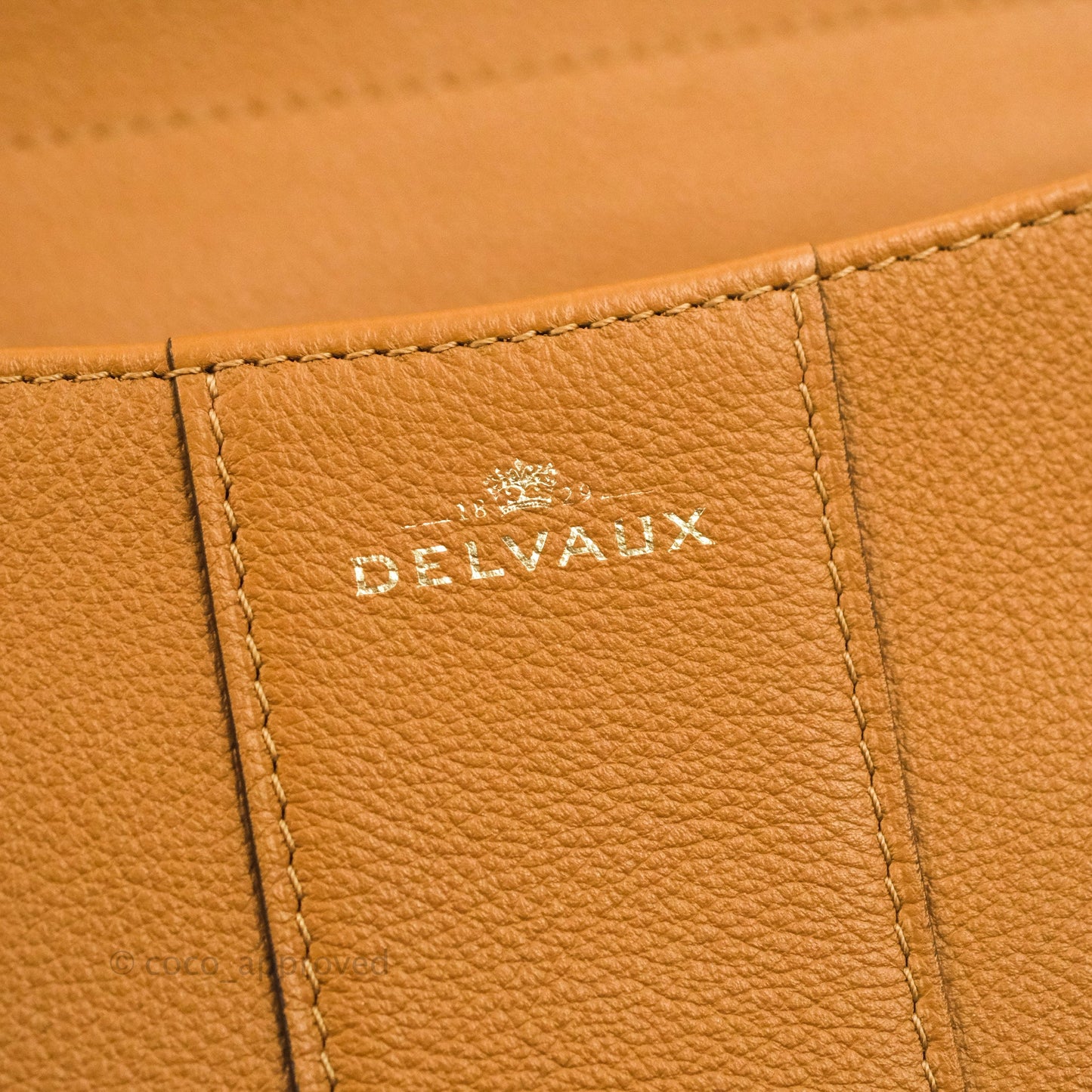 Delvaux Mini Brillant Bag Vegetal Rodeo Calf Gold Hardware