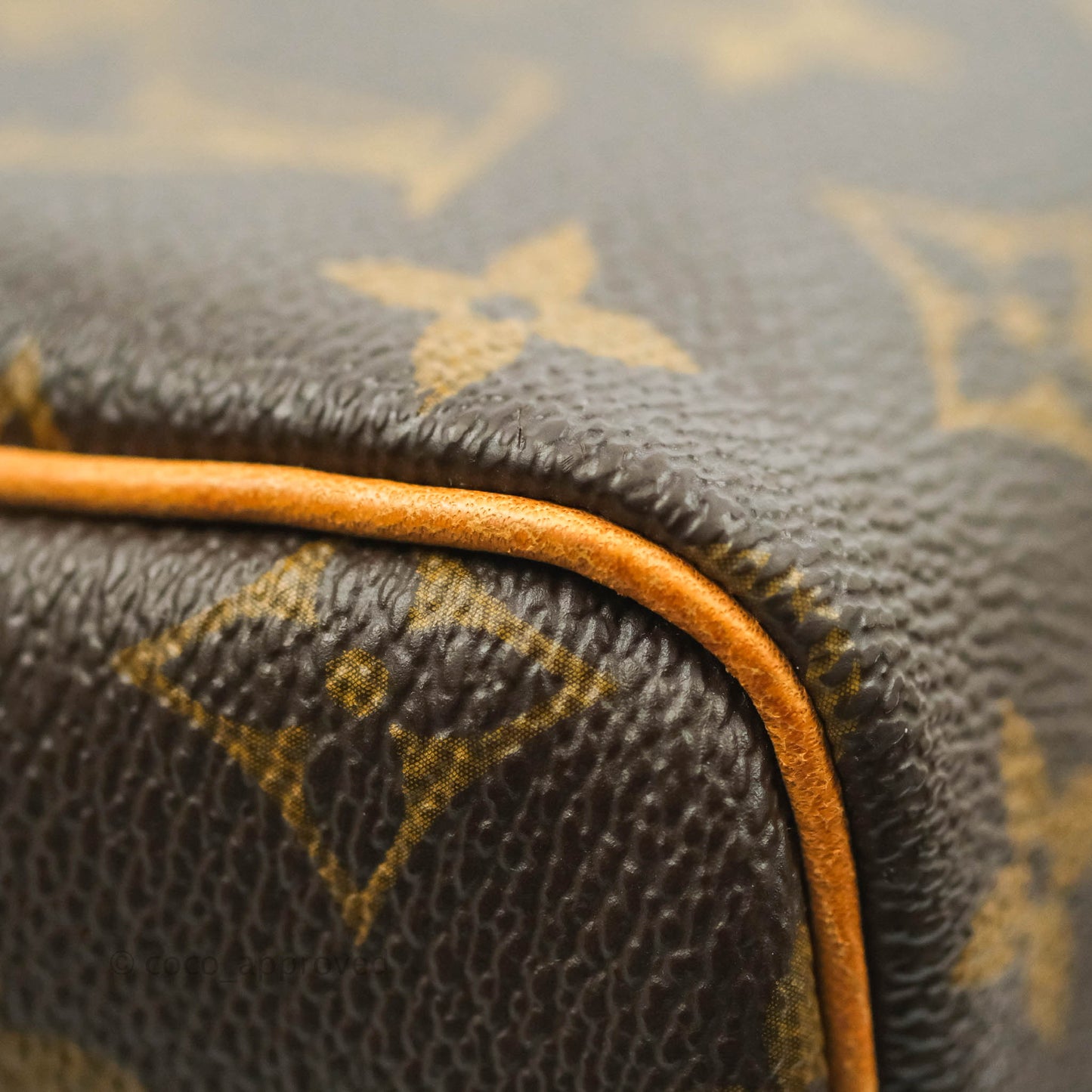 Louis Vuitton Speedy 30 Monogram Canvas