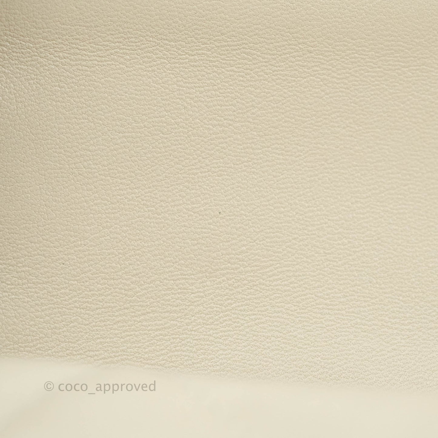 Chanel 19 Medium Beige Mixed Hardware