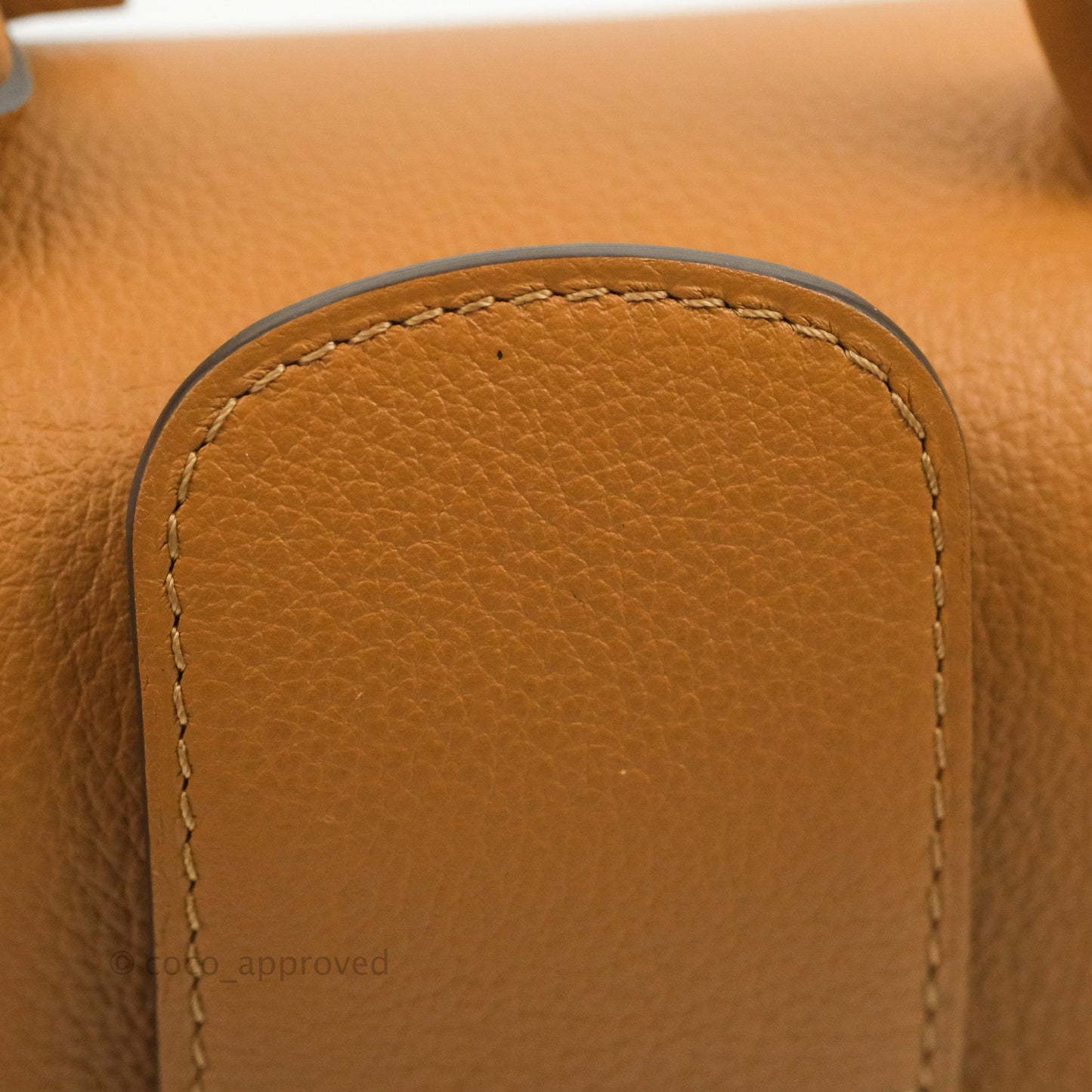 Delvaux Mini Brillant Bag Vegetal Rodeo Calf Gold Hardware