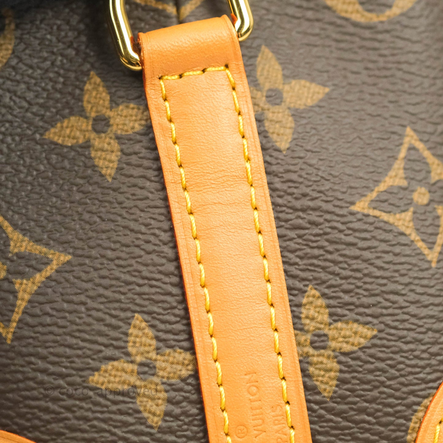 Louis Vuitton Monogram Noé Purse