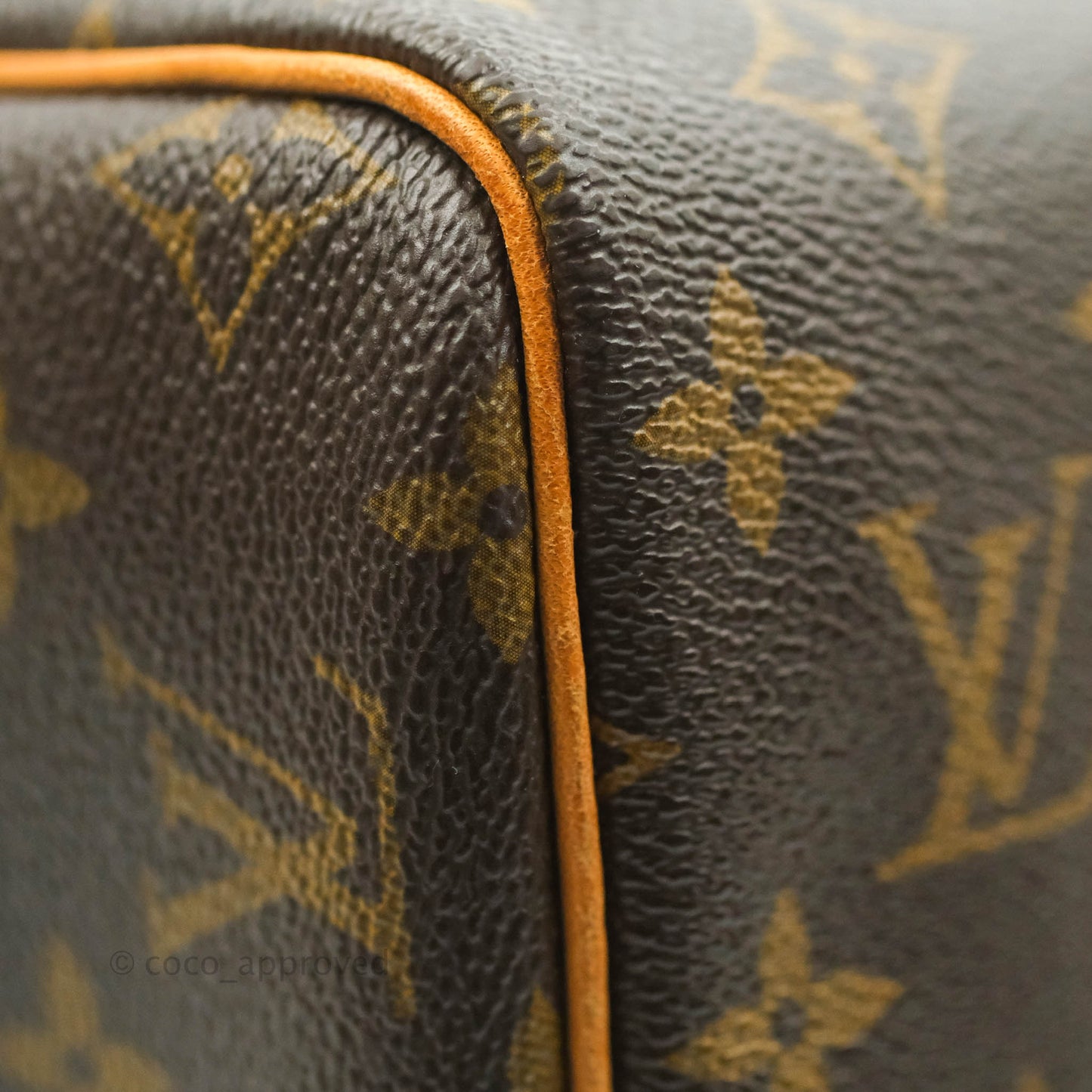 Louis Vuitton Speedy 30 Monogram Canvas