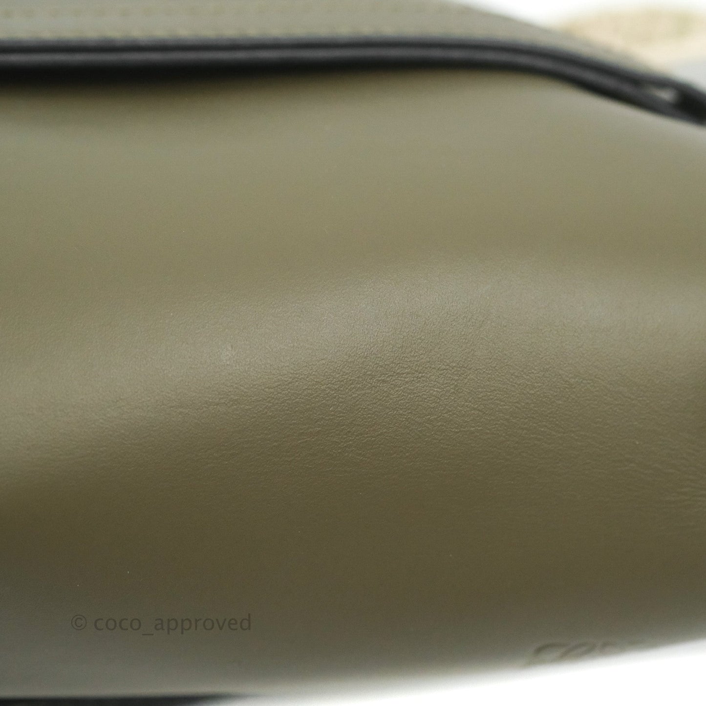 Loewe Small Gate Bag in Soft Calfskin & Jacquard Strap Autumn Green