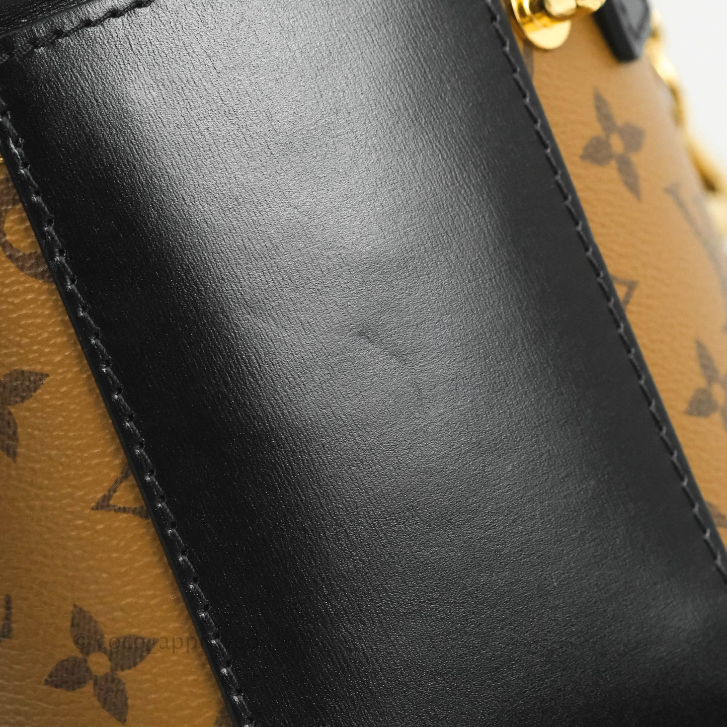 Louis Vuitton Monogram Canvas Reverse Cannes Bag
