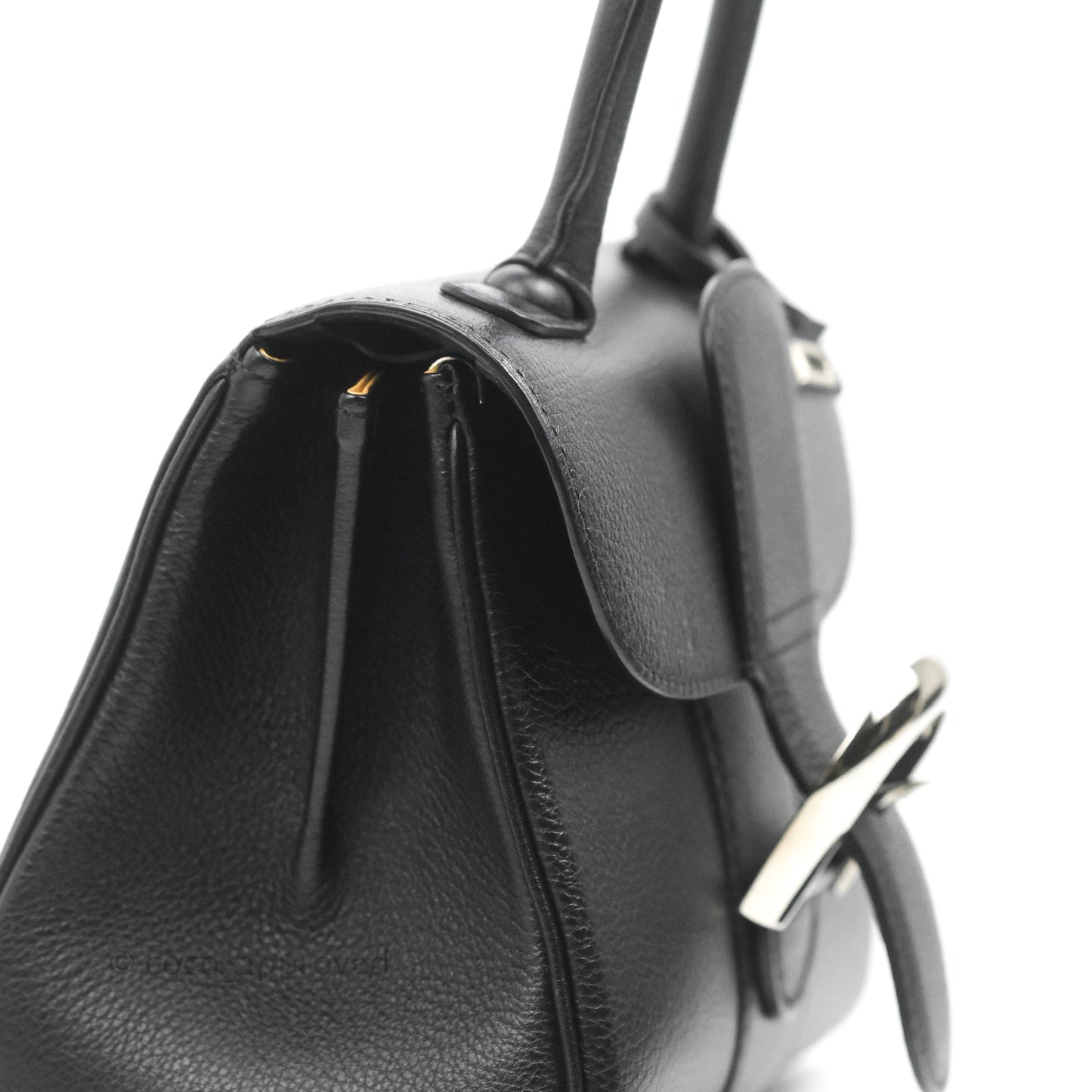 Delvaux Mini Brillant Bag Vegetal Rodeo Calf Silver Hardware