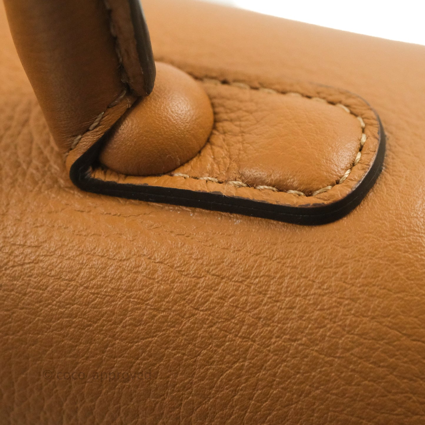 Delvaux Mini Brillant Bag Vegetal Rodeo Calf Gold Hardware