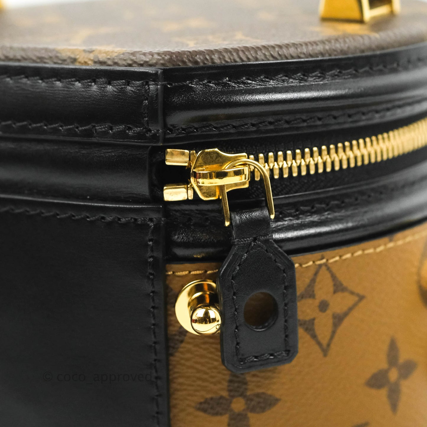 Louis Vuitton Monogram Canvas Reverse Cannes Bag