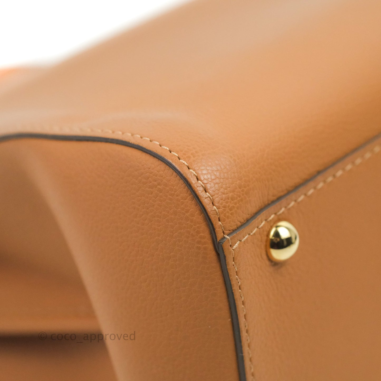Delvaux Mini Brillant Bag Vegetal Rodeo Calf Gold Hardware