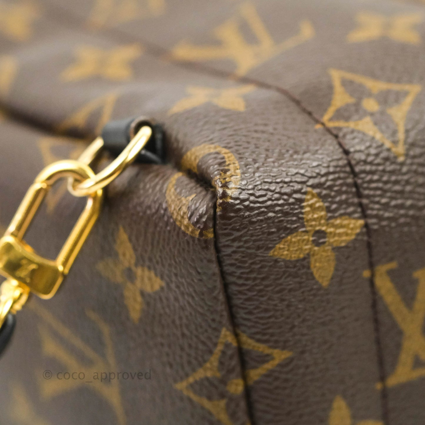 Louis Vuitton Monogram Mini Palm Springs Backpack⁣