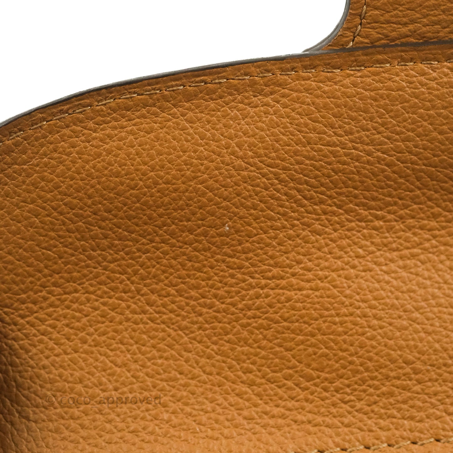 Delvaux Mini Brillant Bag Vegetal Rodeo Calf Gold Hardware