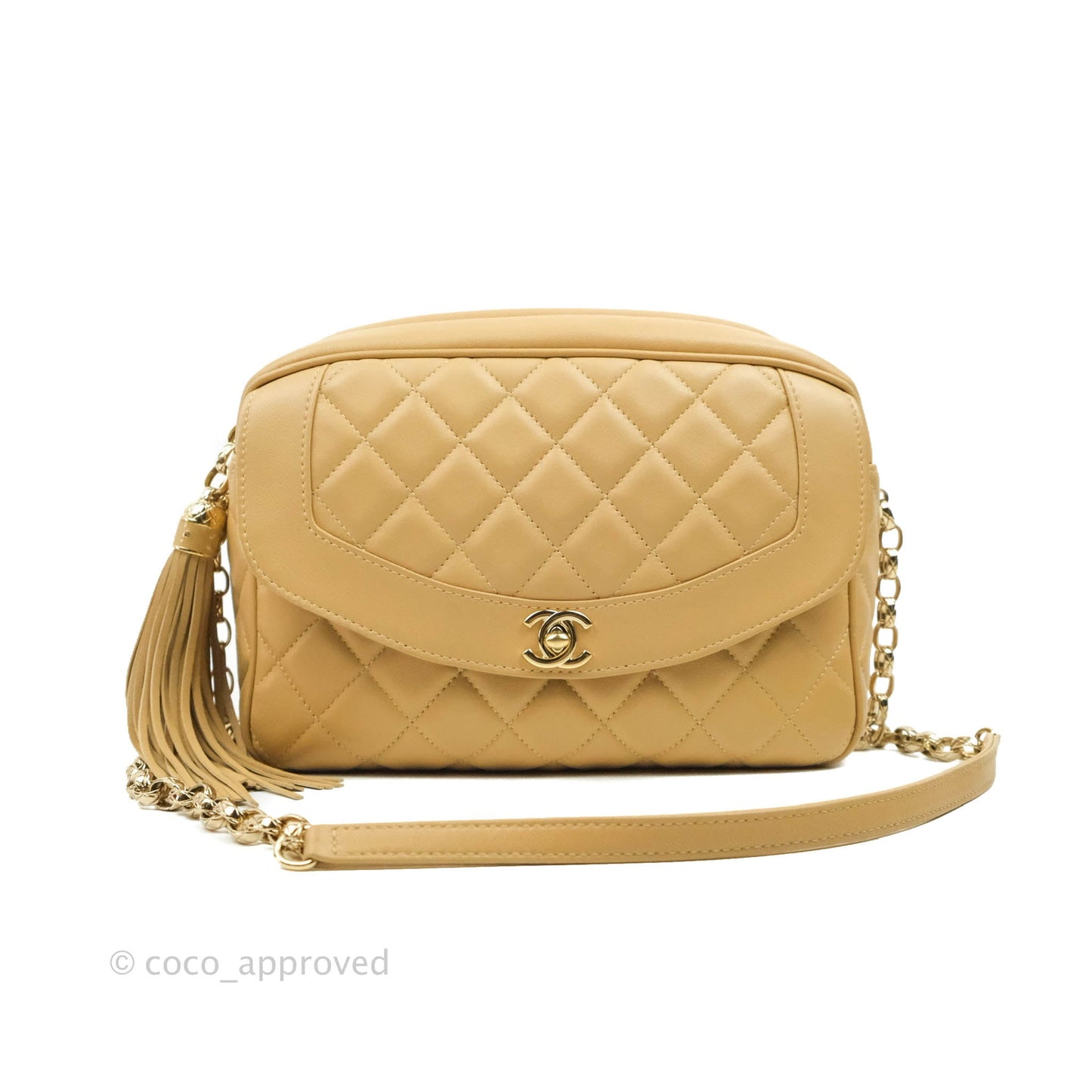 Chanel Calfskin Coco Vintage Camera Case Beige Gold Hardware