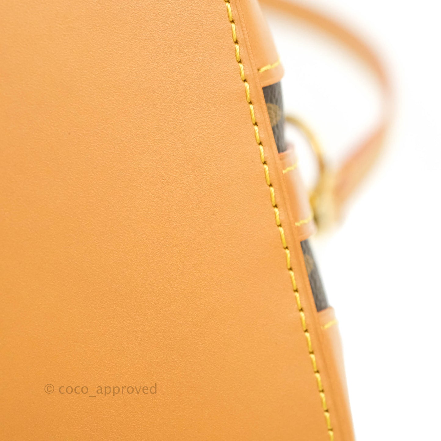 Louis Vuitton Monogram Noé Purse
