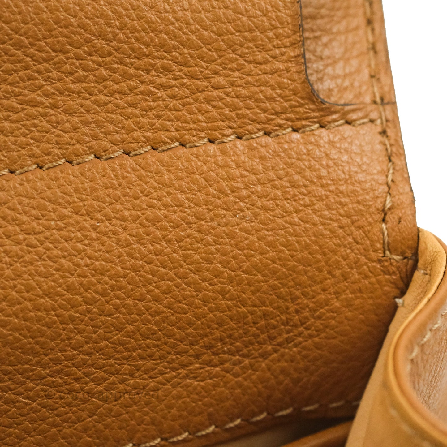 Delvaux Mini Brillant Bag Vegetal Rodeo Calf Gold Hardware
