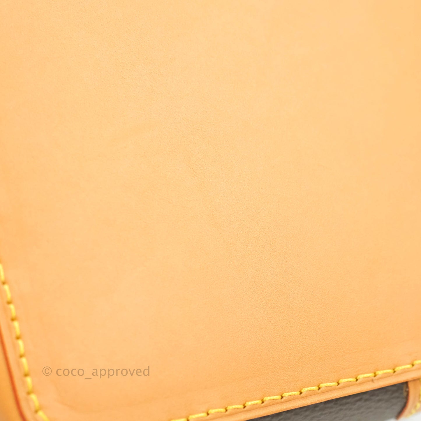 Louis Vuitton Monogram Noé Purse
