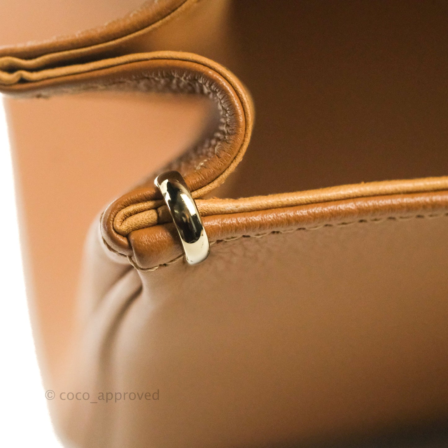 Delvaux Mini Brillant Bag Vegetal Rodeo Calf Gold Hardware