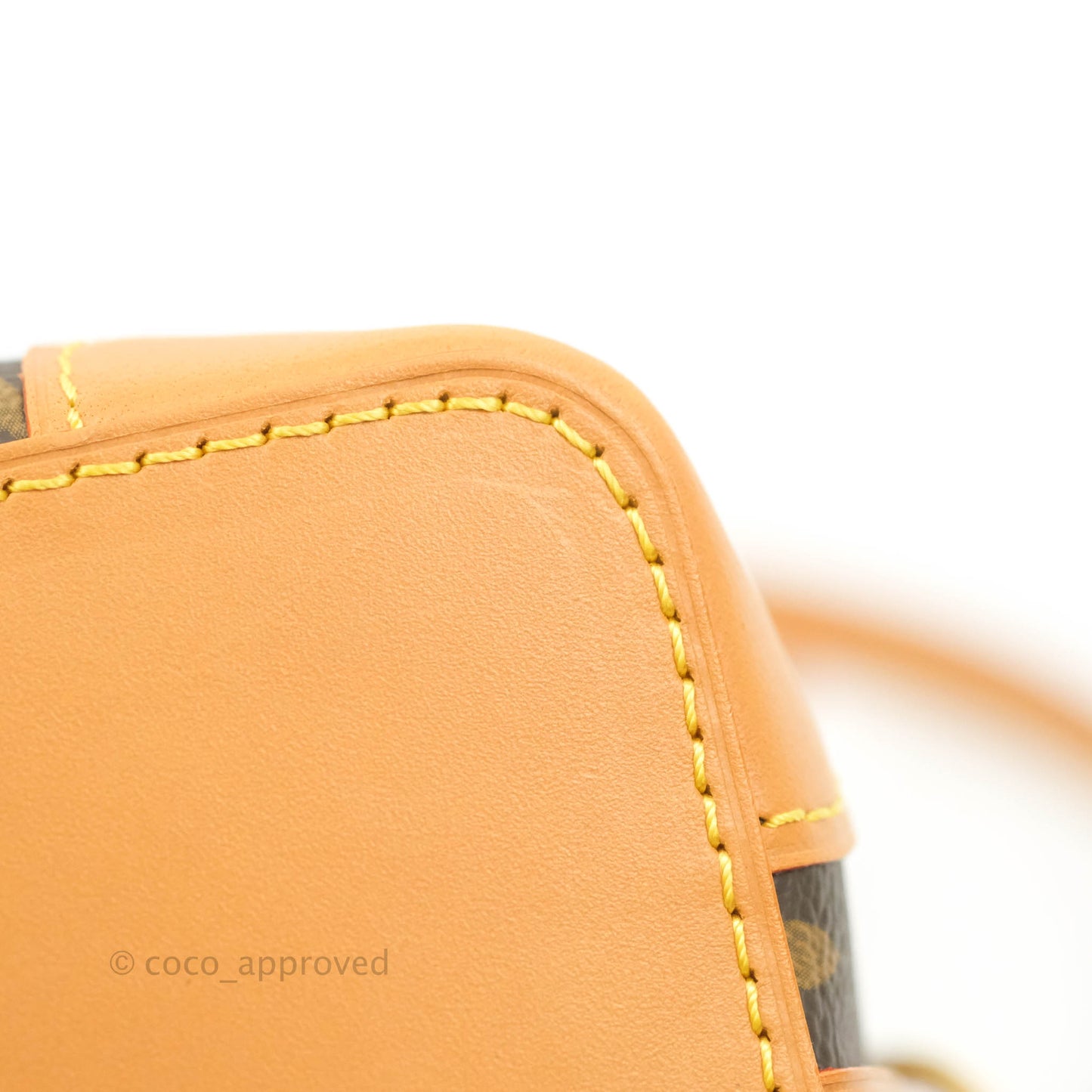 Louis Vuitton Monogram Noé Purse