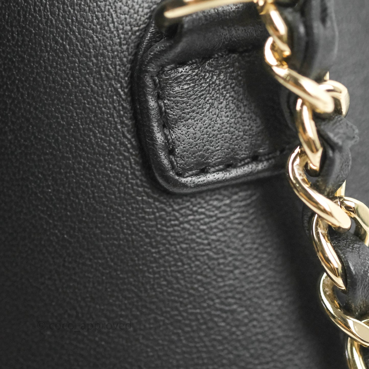 Chanel CC Mania Vanity Case Black Lambskin Gold Hardware