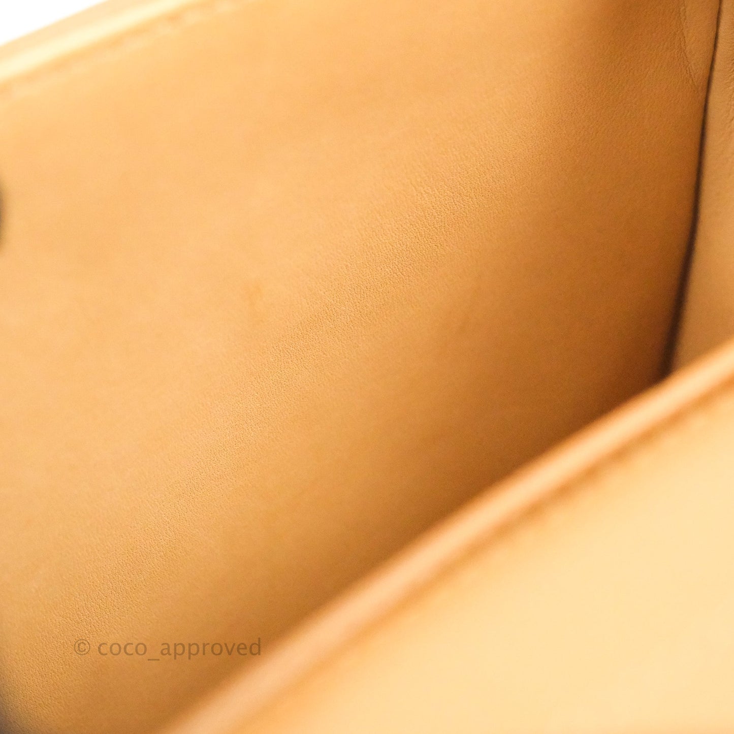 Delvaux Mini Brillant Bag Vegetal Rodeo Calf Gold Hardware