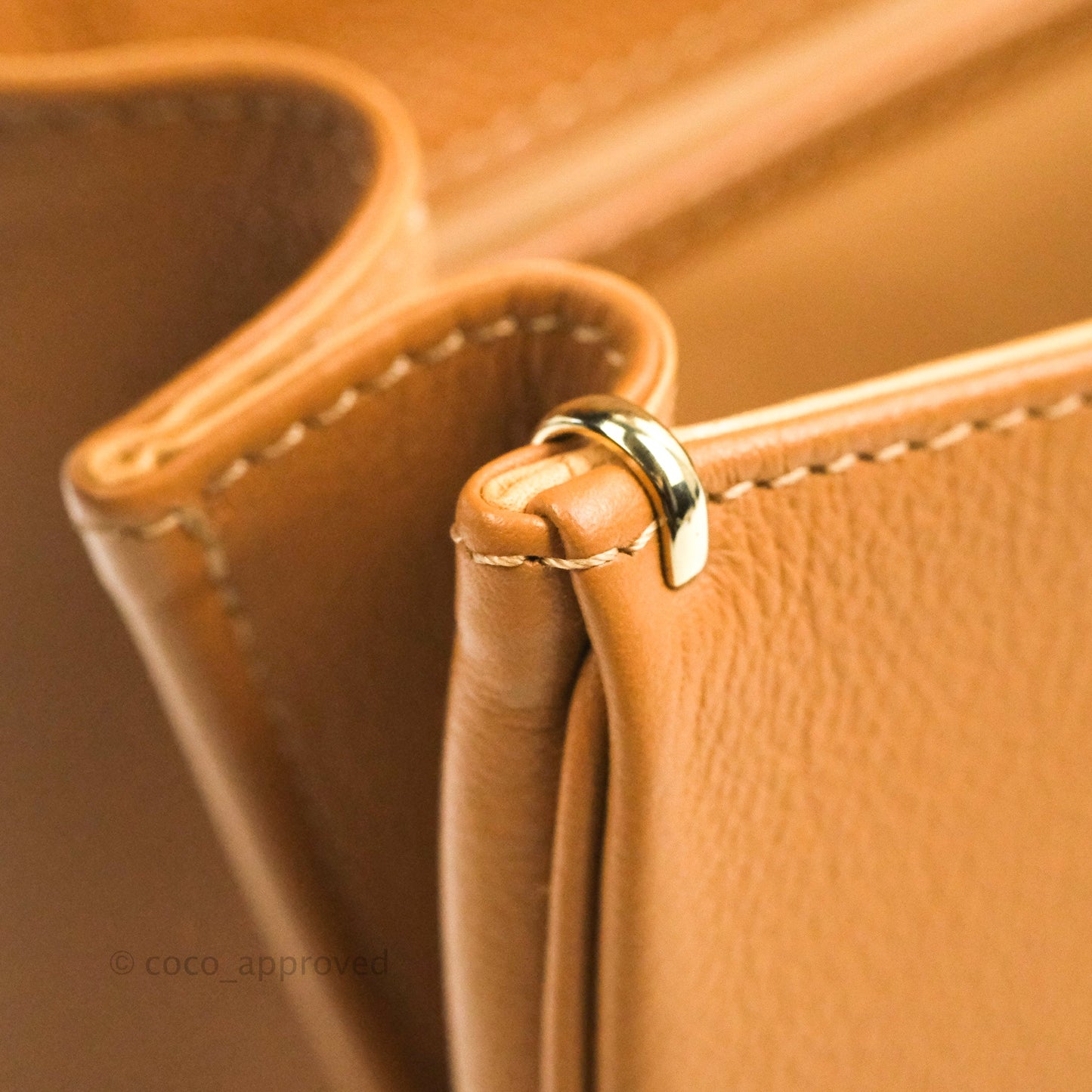 Delvaux Mini Brillant Bag Vegetal Rodeo Calf Gold Hardware