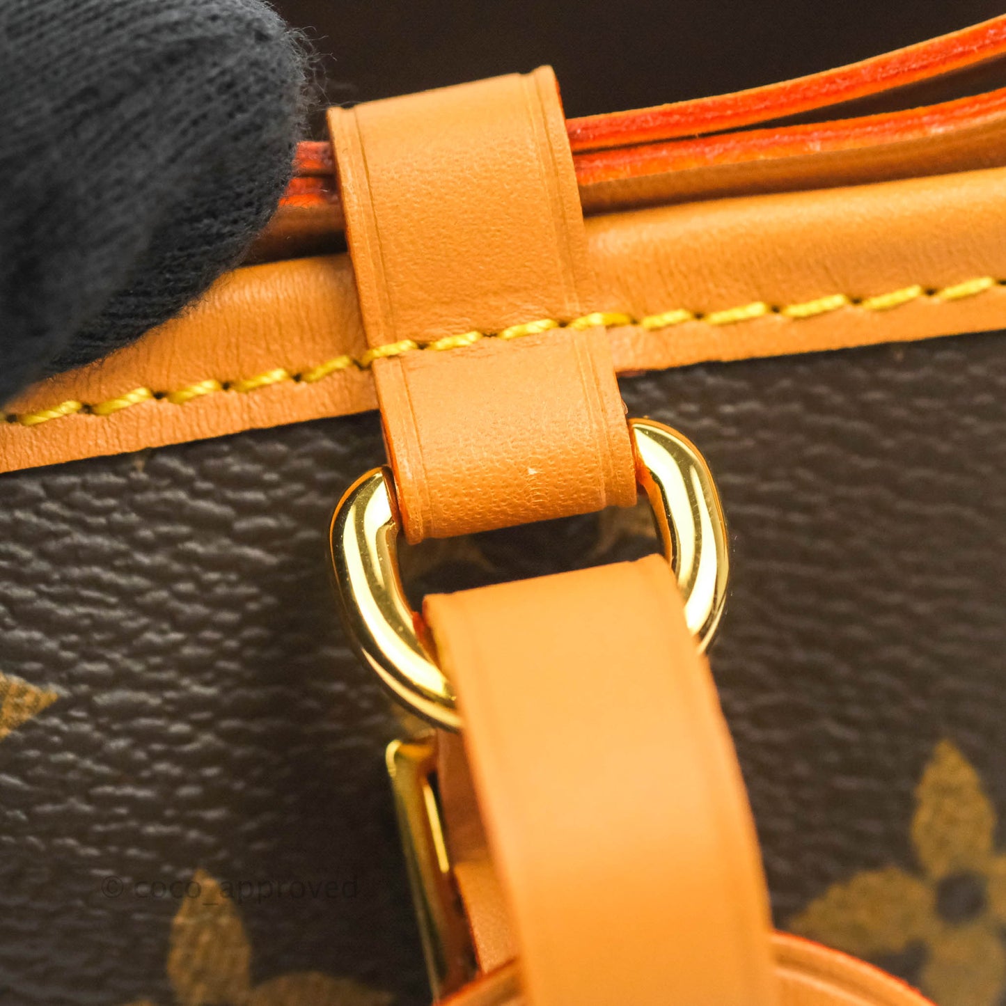 Louis Vuitton Monogram Noé Purse