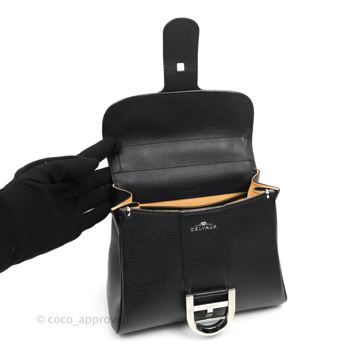 Delvaux Mini Brillant Bag Vegetal Rodeo Calf Silver Hardware