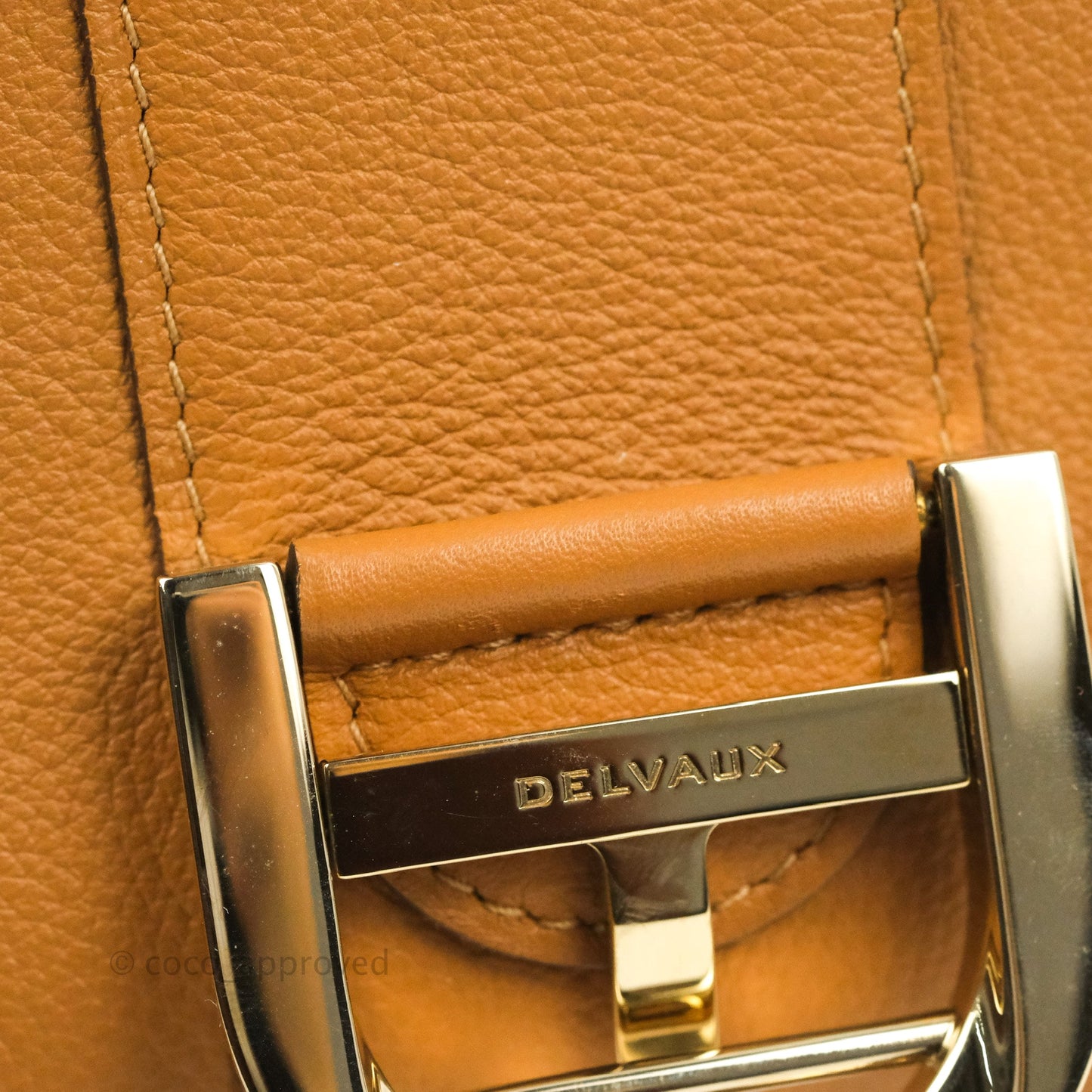 Delvaux Mini Brillant Bag Vegetal Rodeo Calf Gold Hardware