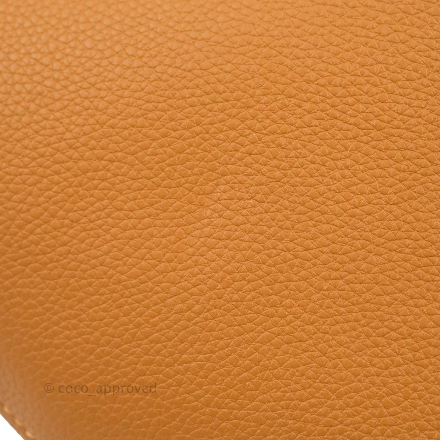 Loewe Small Gate Bag Light Caramel/Pecan Grained Calfskin