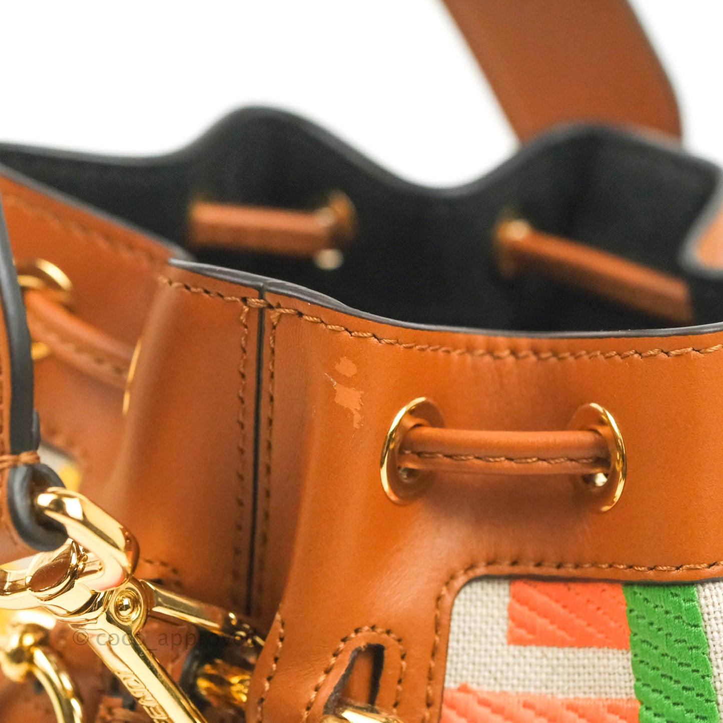 Fendi Mini Mon Tresor Bucket Bag In FF Motif Canvas Multicolor Gold Hardware
