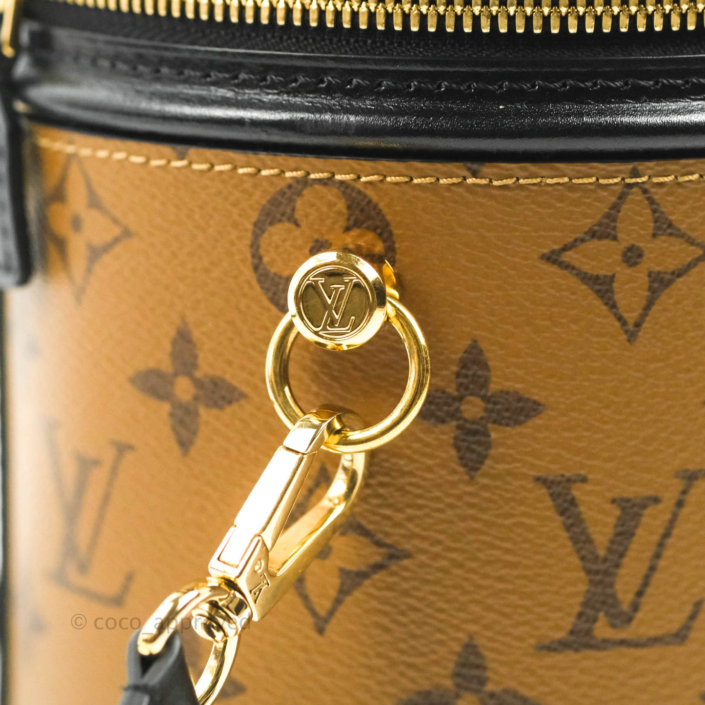 Louis Vuitton Monogram Canvas Reverse Cannes Bag