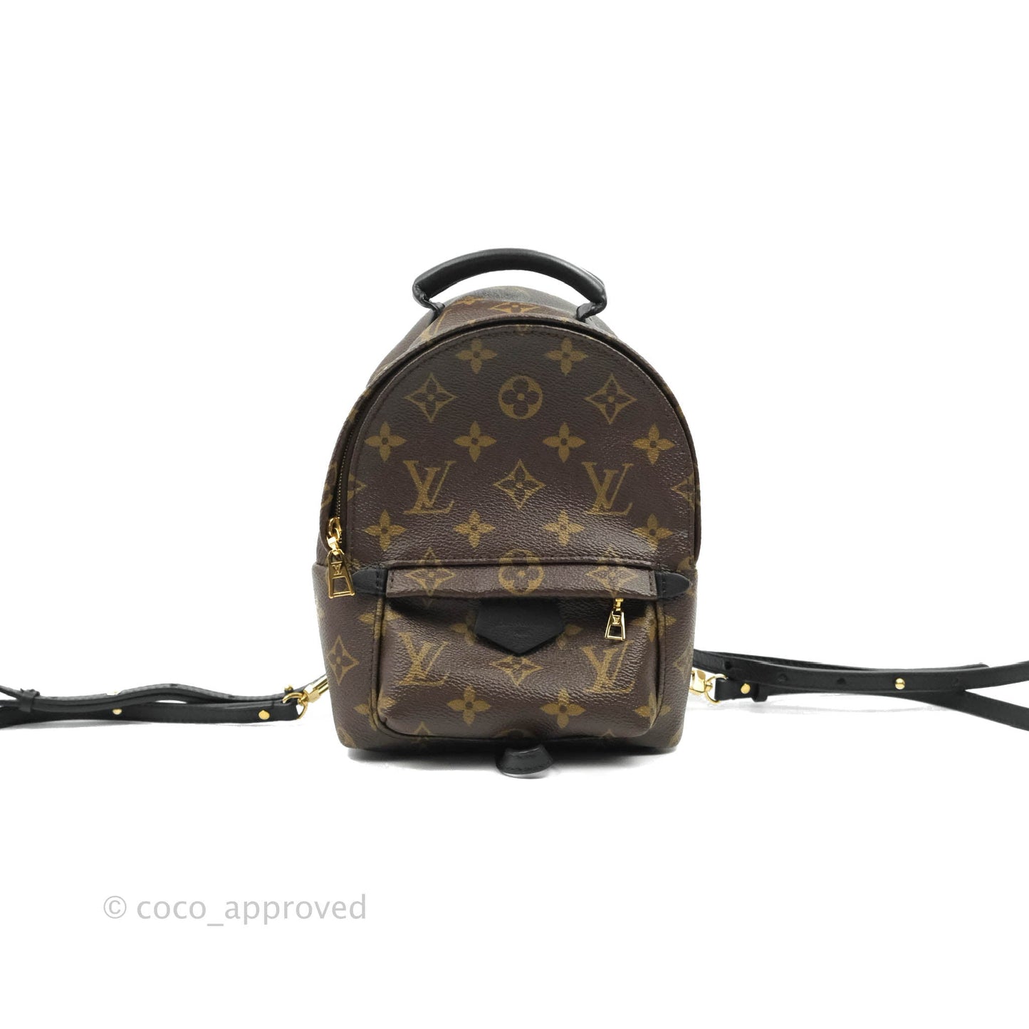 Louis Vuitton Monogram Mini Palm Springs Backpack⁣