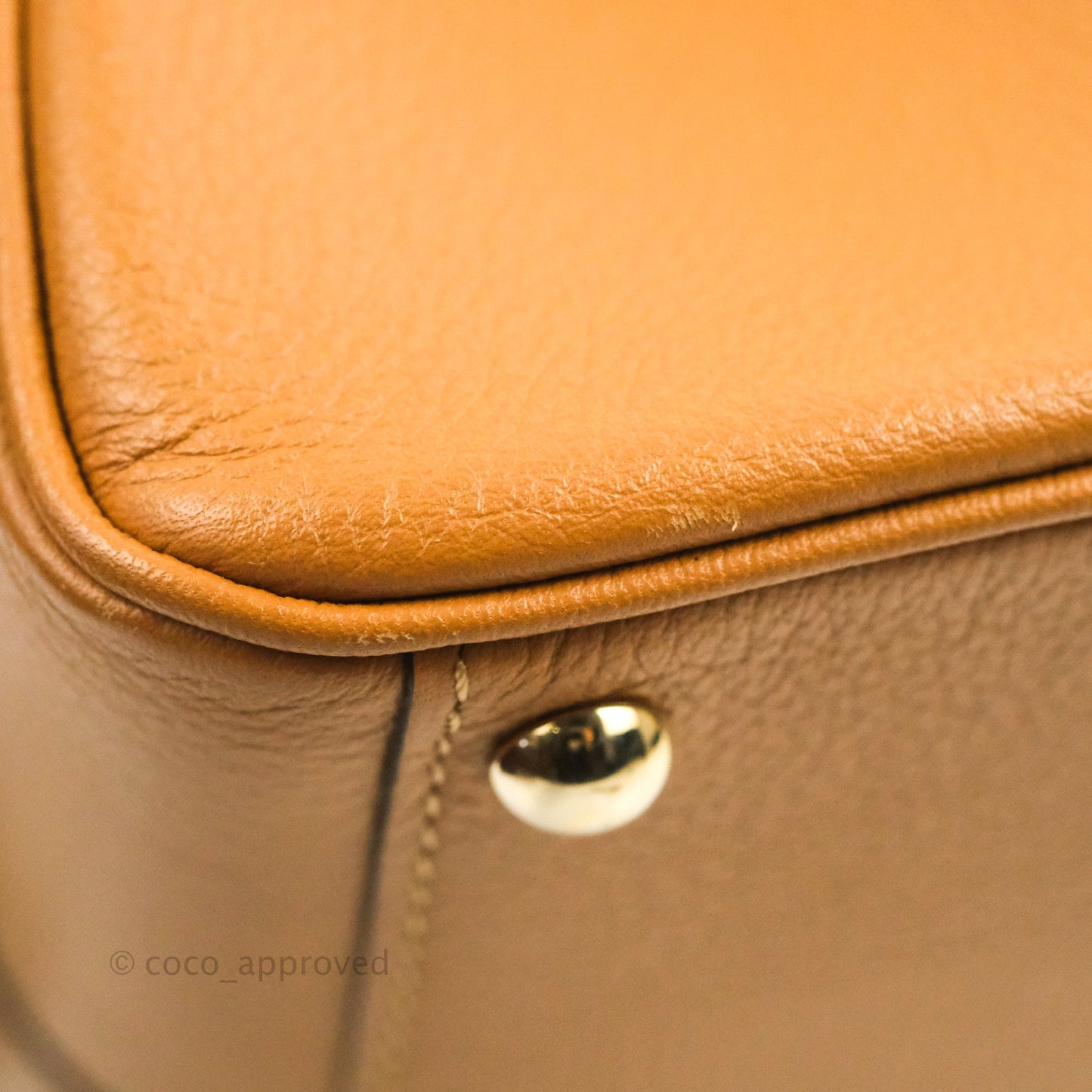 Delvaux Mini Brillant Bag Vegetal Rodeo Calf Gold Hardware