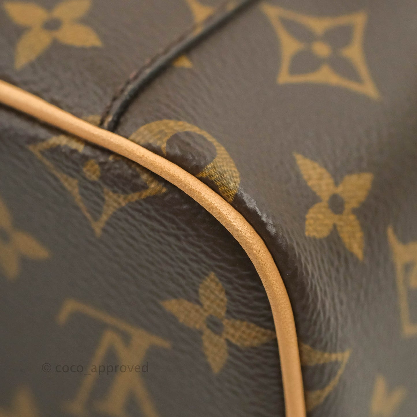 Louis Vuitton Nano Nice Monogram