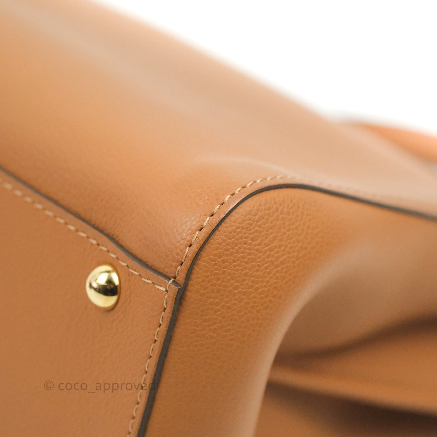 Delvaux Mini Brillant Bag Vegetal Rodeo Calf Gold Hardware