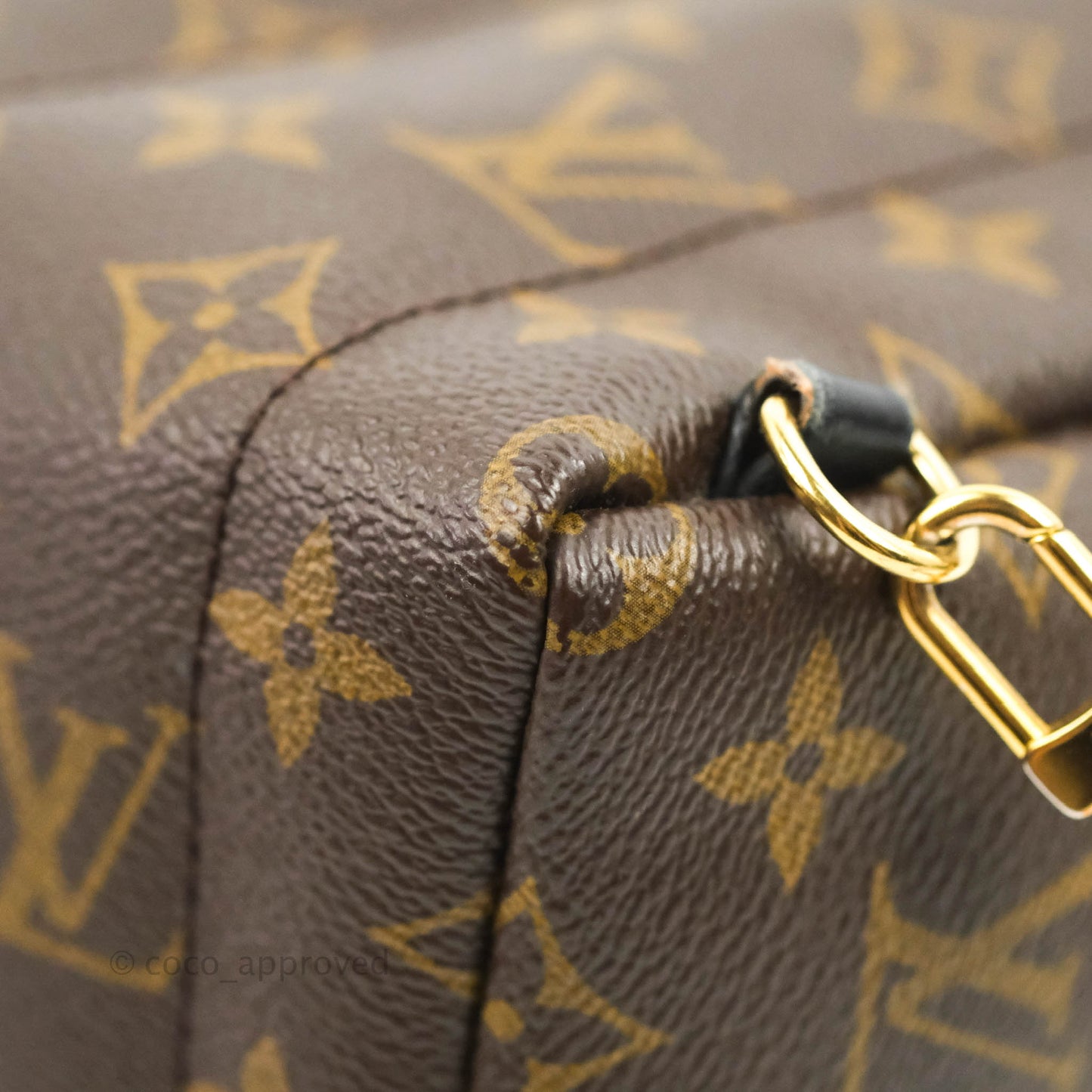Louis Vuitton Monogram Mini Palm Springs Backpack⁣