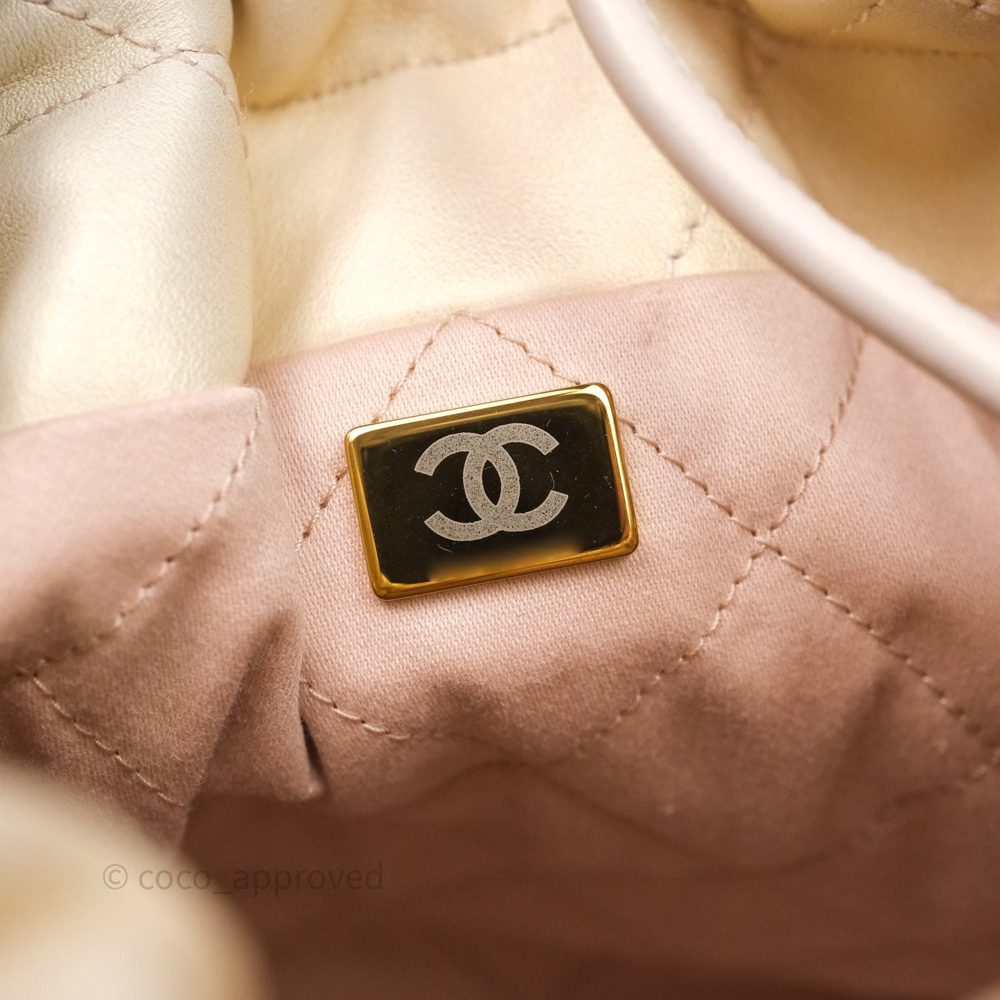 Chanel 22 Mini Bag Iridescent Light Pearly Calfskin Aged Gold Hardware